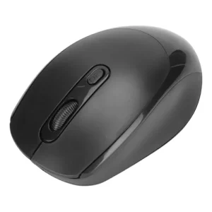 MOUSE WIRELESS DM GRIS